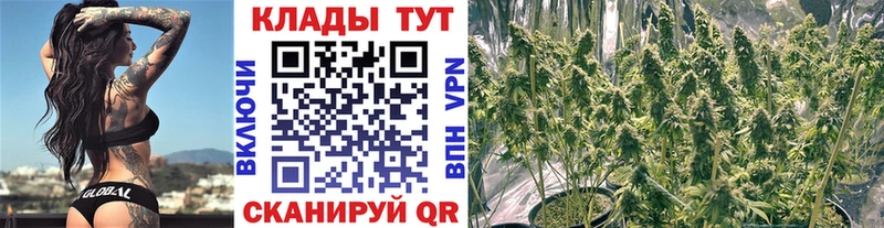 Продажа наркотиков Мезень Гашиш ЭКСТАЗИ Меф Конопля Кокаин