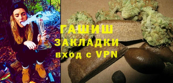 индика Белокуриха
