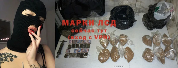 индика Белокуриха