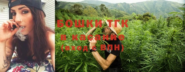 индика Белокуриха