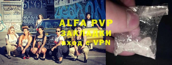 индика Белокуриха