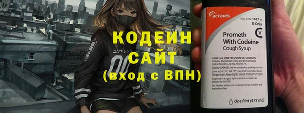 индика Белокуриха